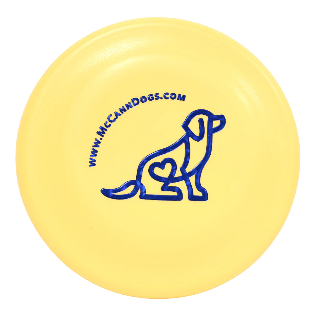 Interactive Dog Toys